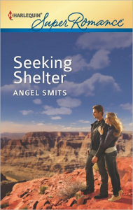 Seeking Shelter Cover